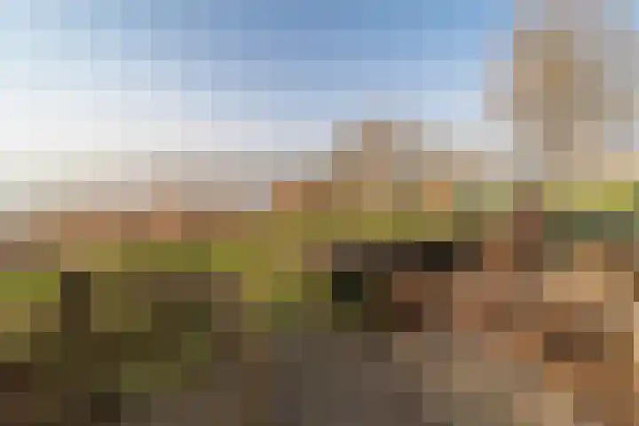 Hoge Maasdijk 61 Andel thumbnail 27