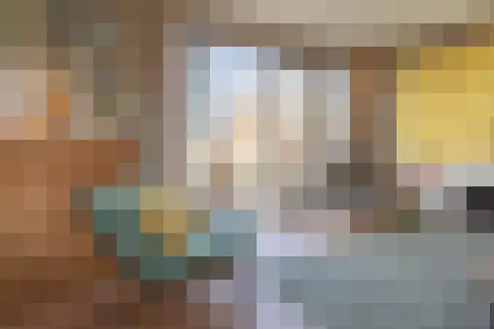Hoge Maasdijk 61 Andel thumbnail 7