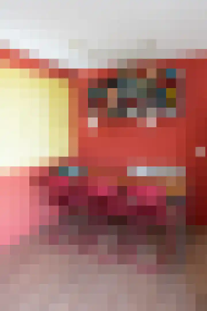 Hoge Maasdijk 61 Andel thumbnail 9