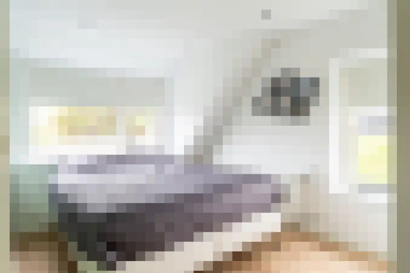 Hoge Maasdijk 74 Andel thumbnail 13