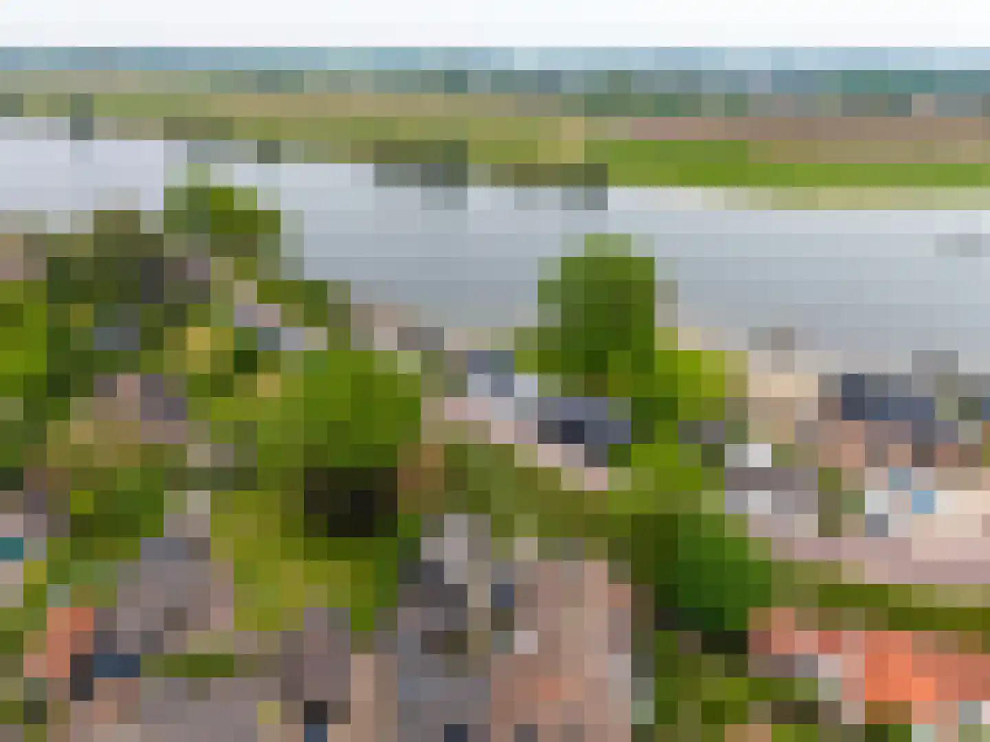 Hoge Maasdijk 74 Andel foto 3