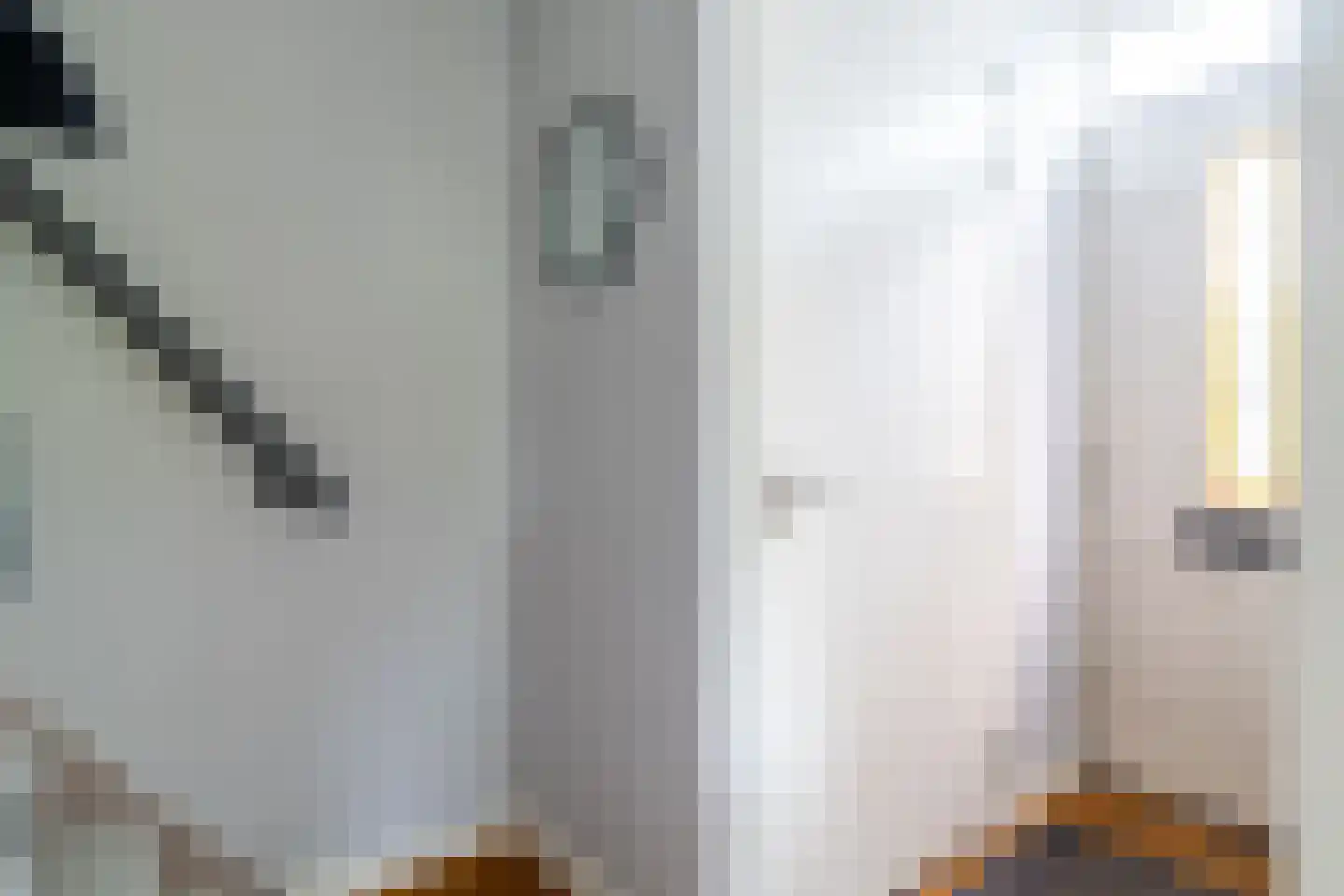 Hoge Maasdijk 74 Andel thumbnail 4