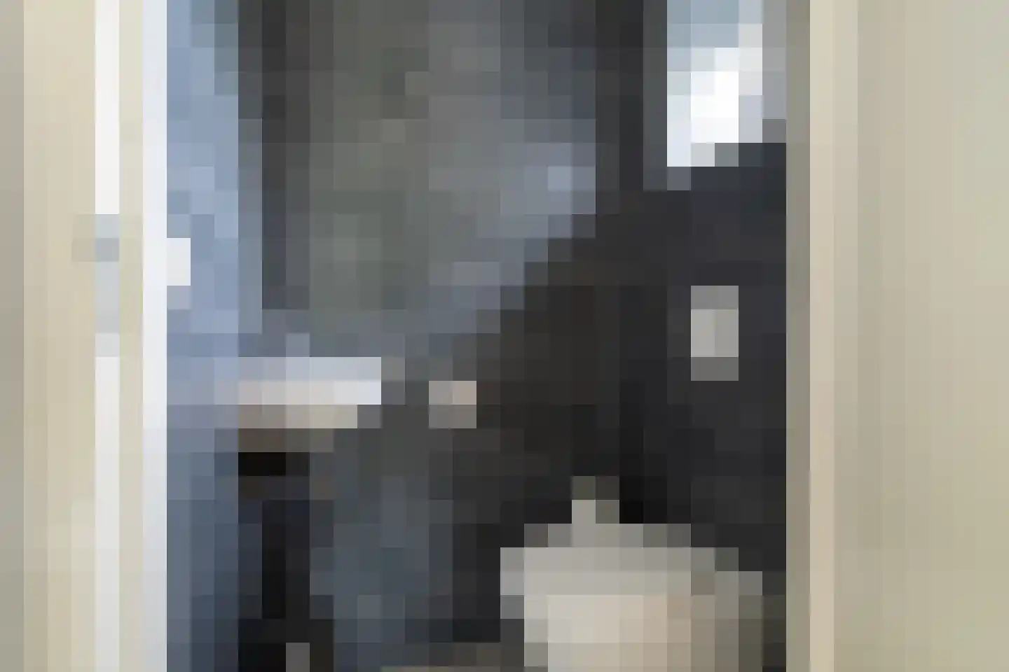 Hoge Maasdijk 74 Andel thumbnail 5