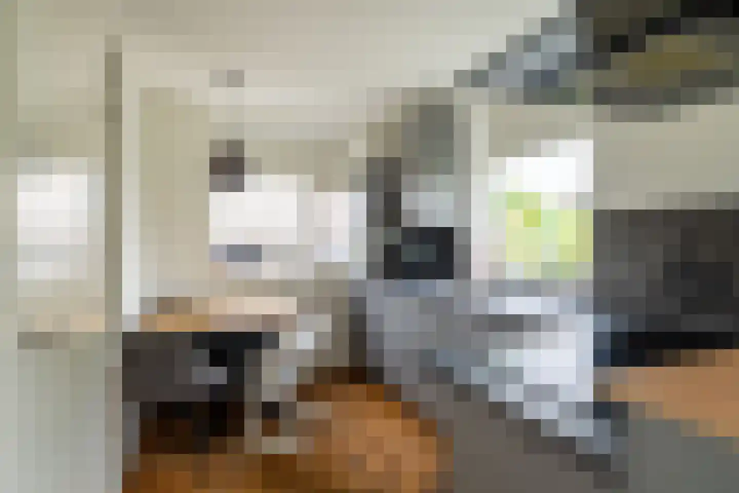 Hoge Maasdijk 74 Andel thumbnail 6