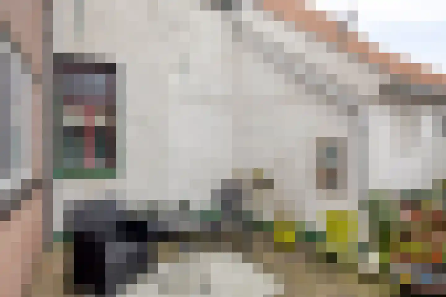Hoge Markt 15 Scherpenisse thumbnail 23