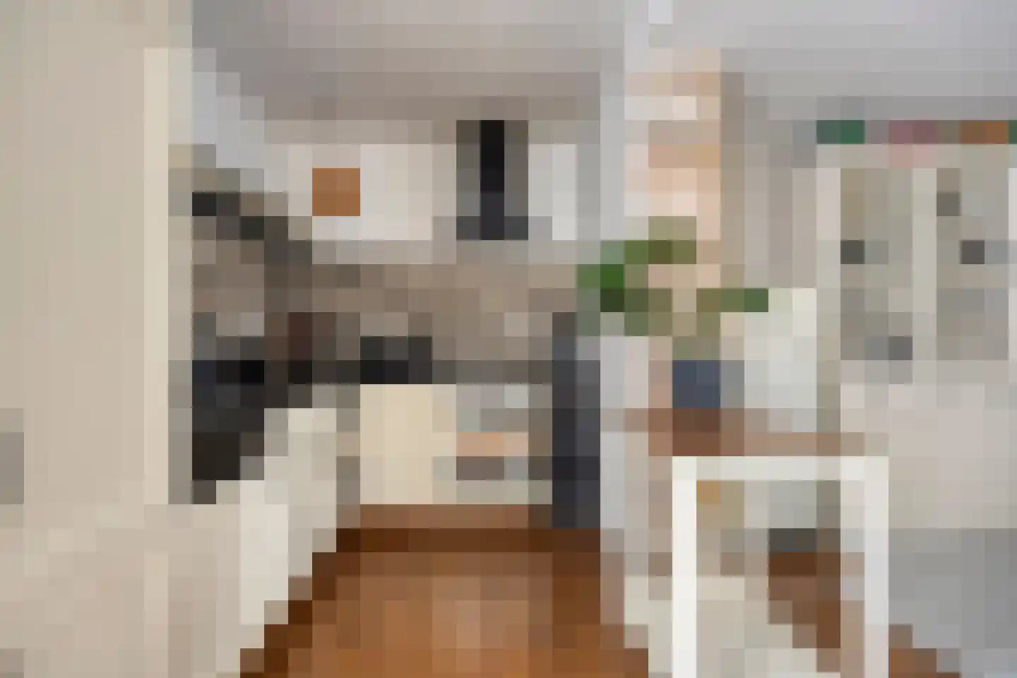 Hoge Markt 15 Scherpenisse thumbnail 6