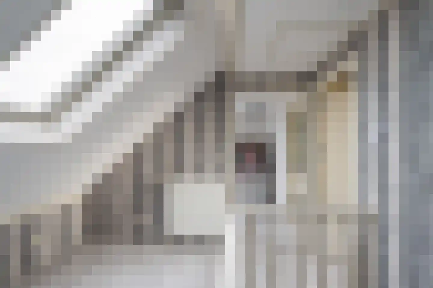 Hoge Markt 19 Scherpenisse thumbnail 28