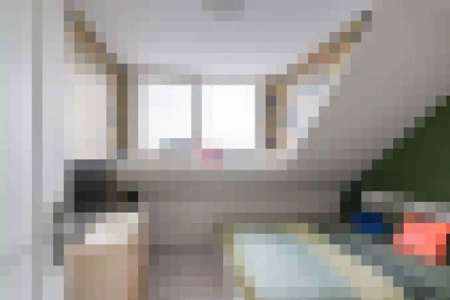 Hoge Markt 19 Scherpenisse thumbnail 30
