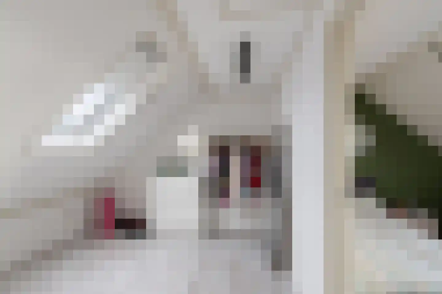 Hoge Markt 19 Scherpenisse thumbnail 33