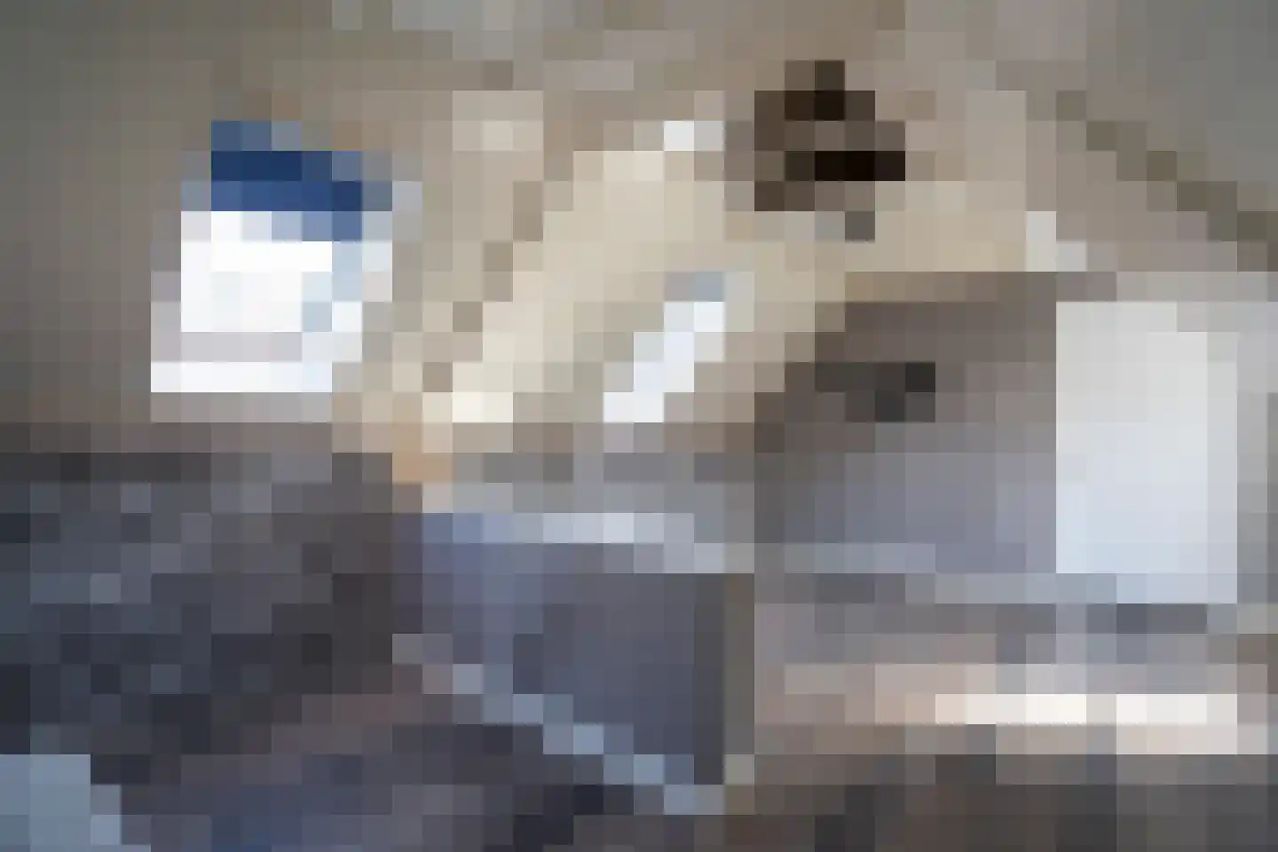 Hoge Minstraat 2 Asperen thumbnail 18