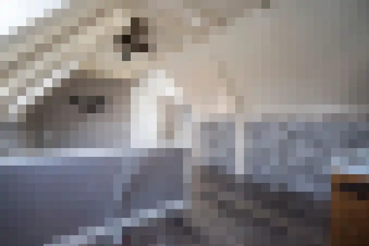 Hoge Minstraat 2 Asperen thumbnail 19