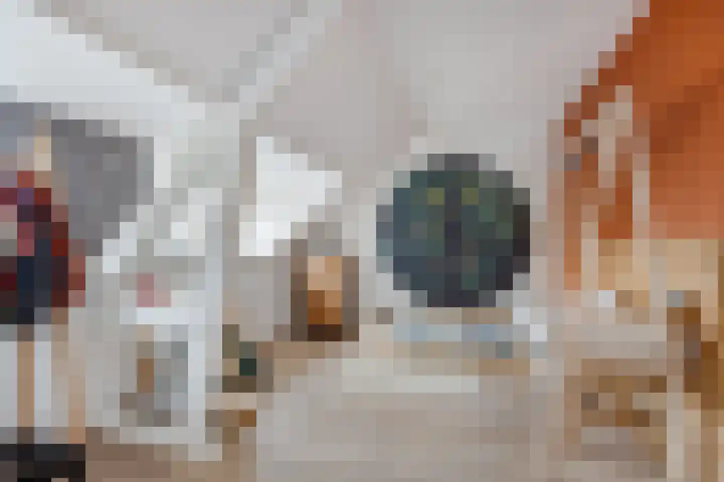 Hoge Morsweg 103 Leiden thumbnail 12