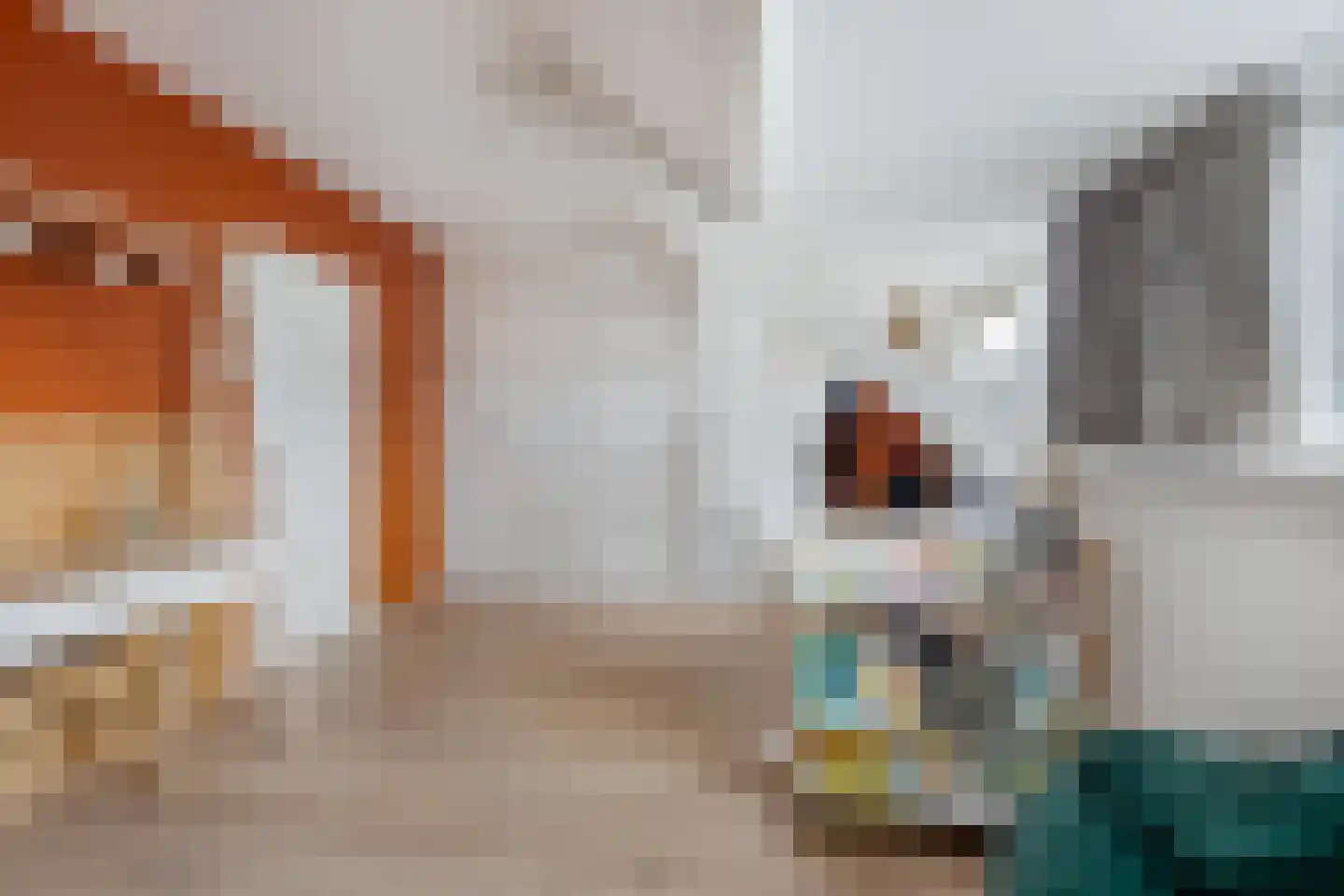 Hoge Morsweg 103 Leiden thumbnail 13