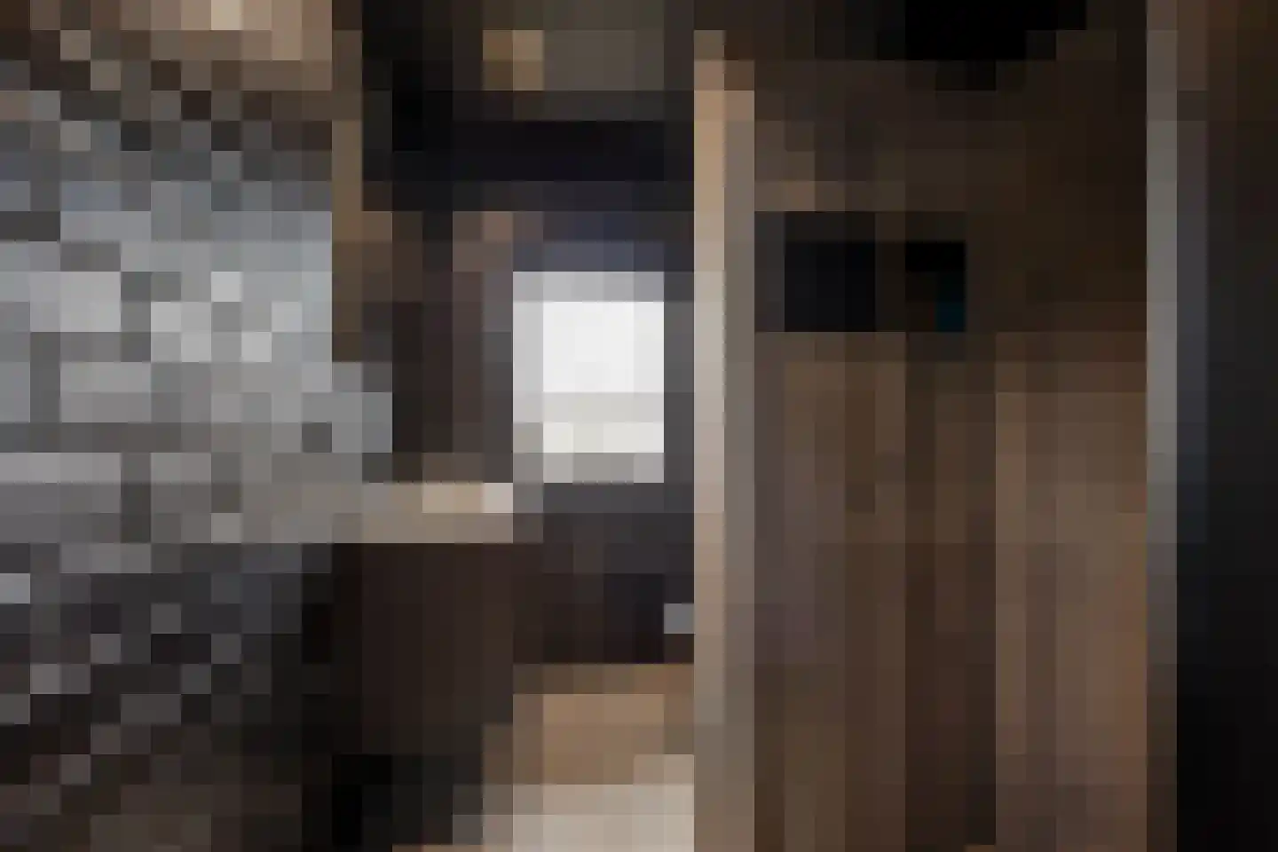 Hoge Morsweg 103 Leiden thumbnail 16