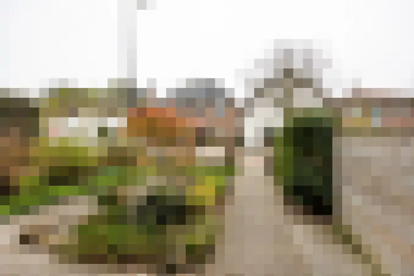 Hoge Morsweg 103 Leiden thumbnail 25
