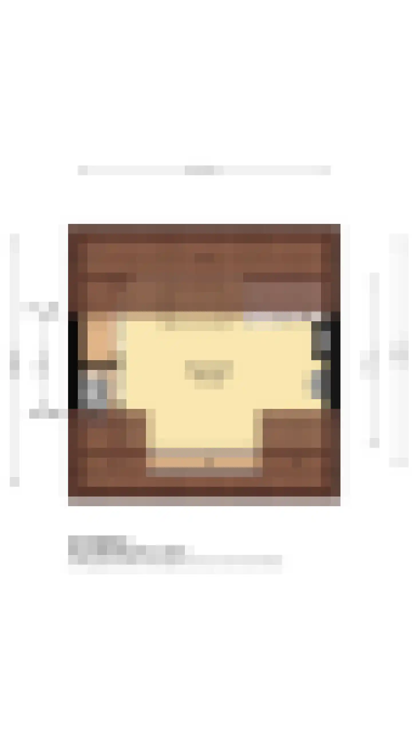 Hoge Morsweg 103 Leiden thumbnail 29