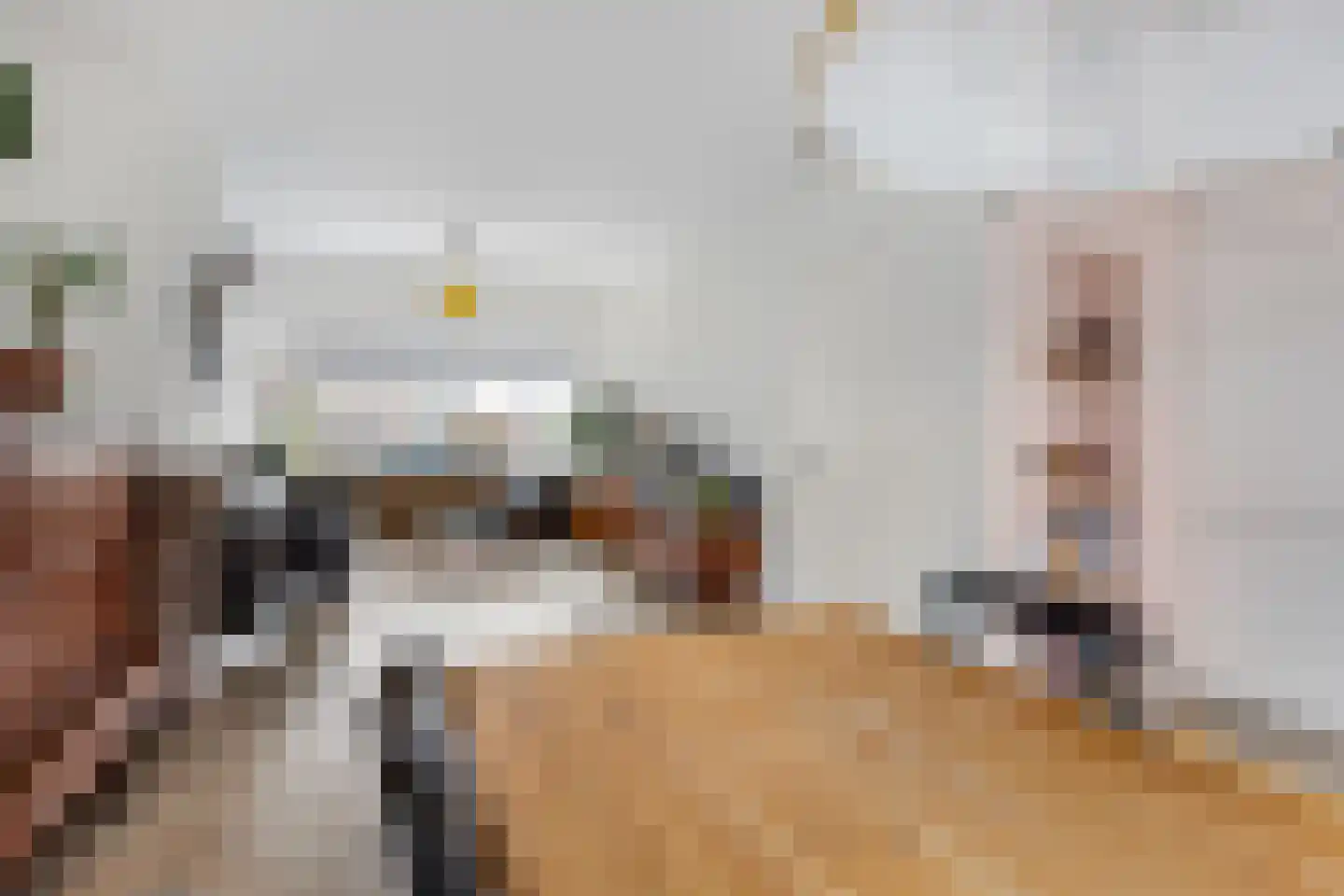 Hoge Morsweg 103 Leiden thumbnail 6