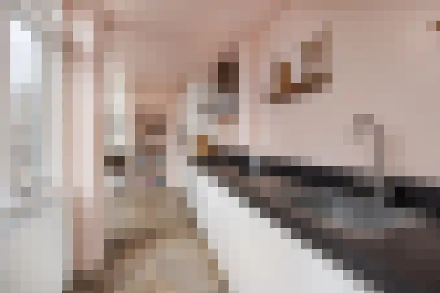 Hoge Morsweg 103 Leiden thumbnail 9