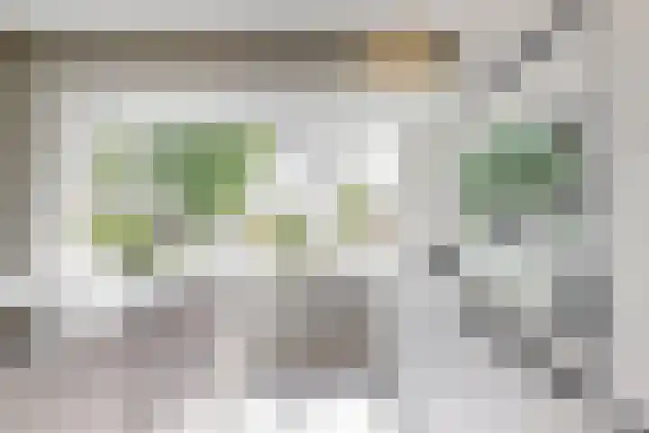 Hoge Morsweg 105 Leiden thumbnail 10