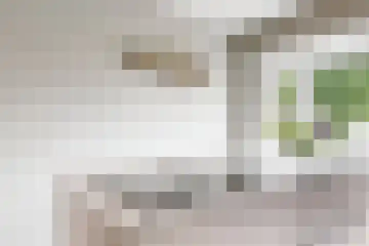 Hoge Morsweg 105 Leiden thumbnail 11