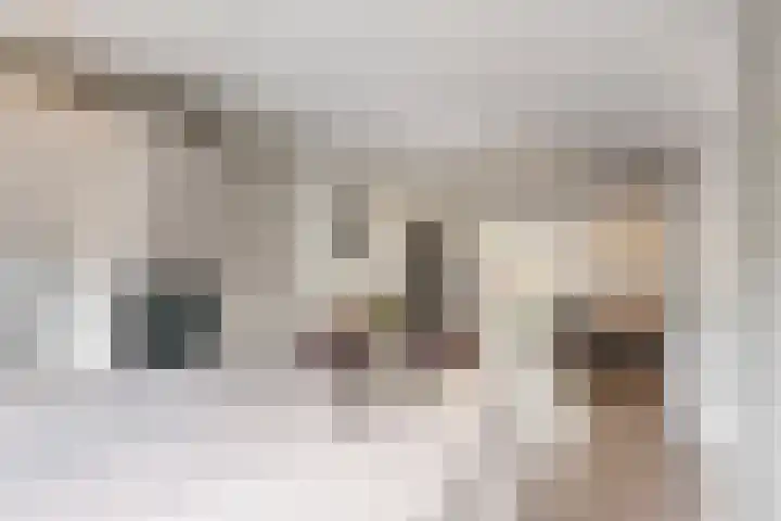 Hoge Morsweg 105 Leiden thumbnail 13
