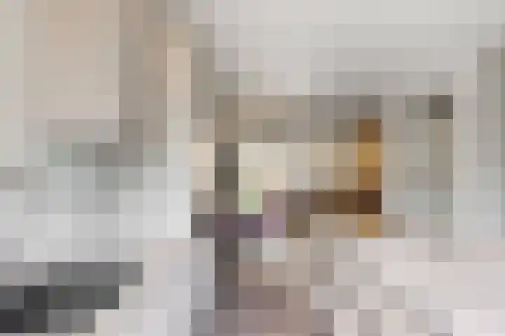 Hoge Morsweg 105 Leiden thumbnail 14