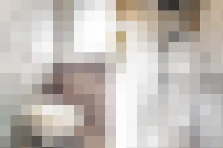 Hoge Morsweg 105 Leiden thumbnail 16