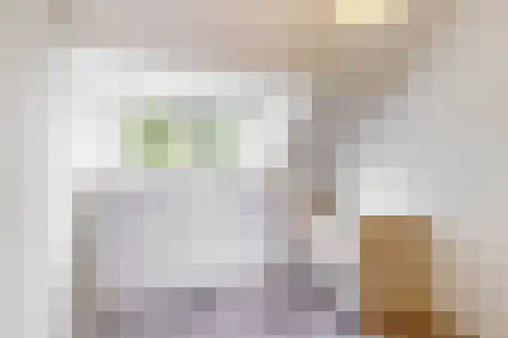 Hoge Morsweg 105 Leiden thumbnail 17