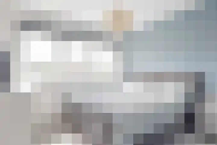 Hoge Morsweg 105 Leiden thumbnail 19
