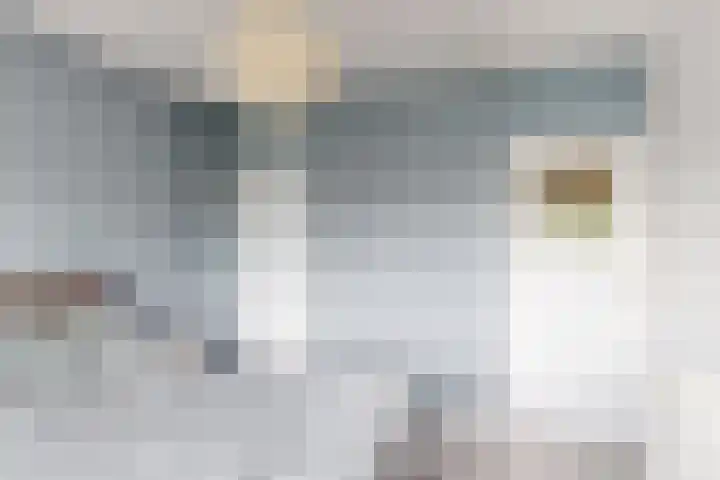 Hoge Morsweg 105 Leiden thumbnail 20