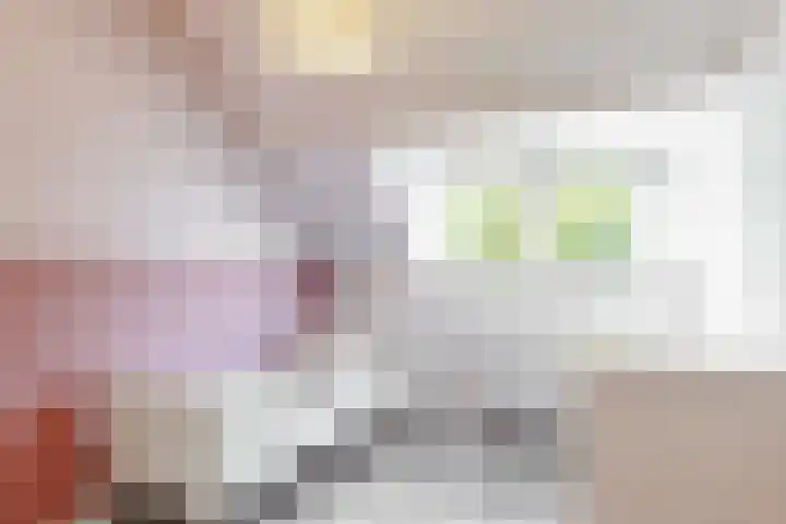 Hoge Morsweg 105 Leiden thumbnail 21