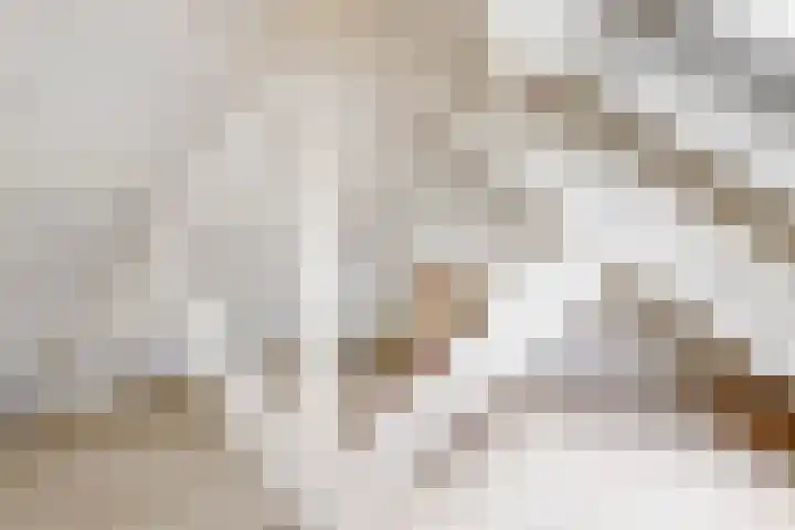 Hoge Morsweg 105 Leiden thumbnail 24