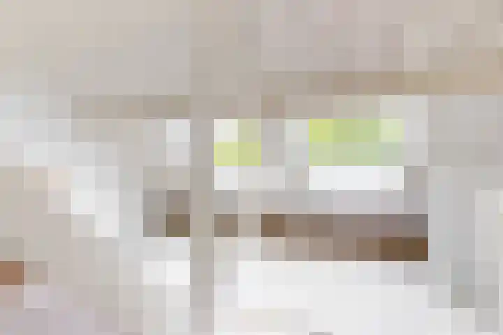 Hoge Morsweg 105 Leiden thumbnail 25