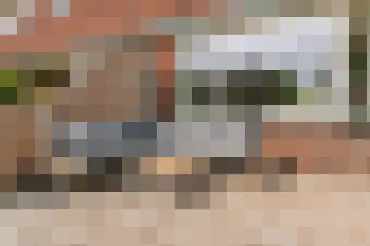 Hoge Morsweg 105 Leiden thumbnail 27