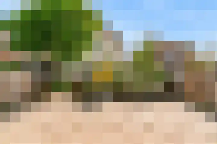 Hoge Morsweg 105 Leiden thumbnail 33