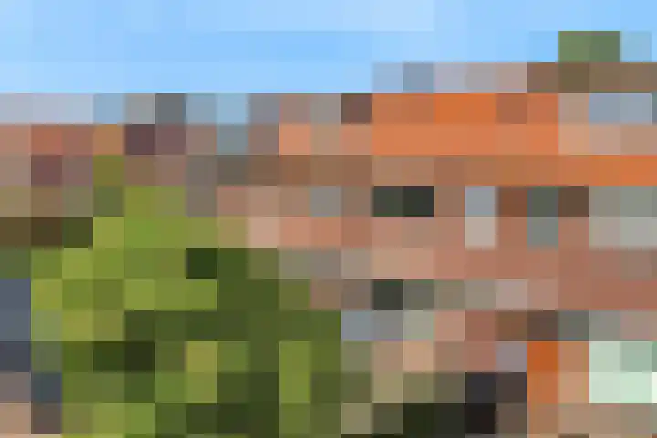 Hoge Morsweg 105 Leiden thumbnail 34