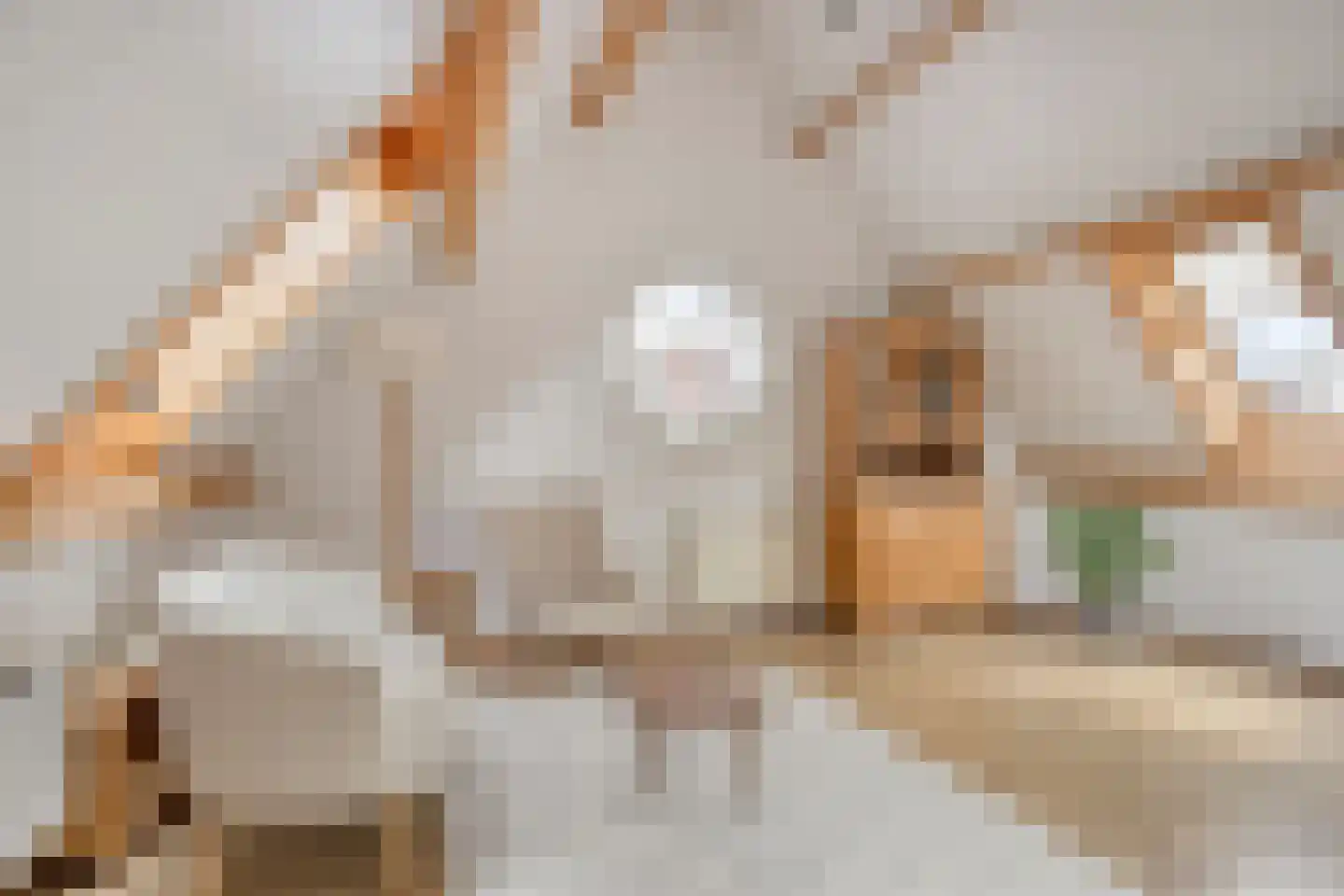 Hoge Morsweg 112 A Leiden thumbnail 19
