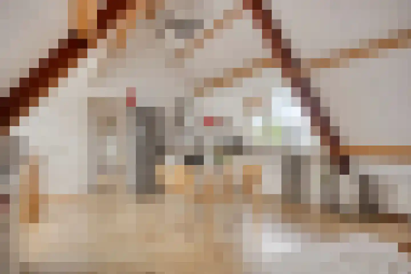 Hoge Morsweg 112 A Leiden thumbnail 20