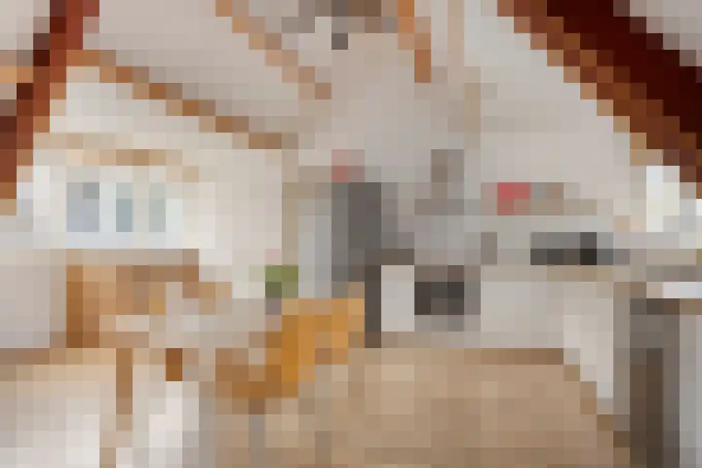 Hoge Morsweg 112 A Leiden thumbnail 21