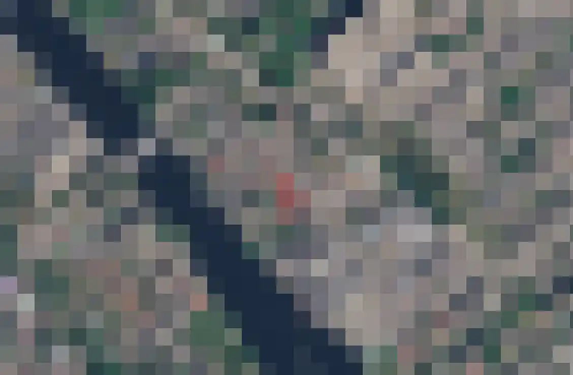 Hoge Morsweg 112 A Leiden thumbnail 29