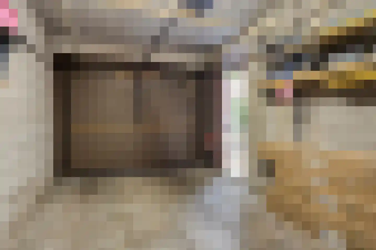 Hoge Morsweg 112 Leiden thumbnail 10