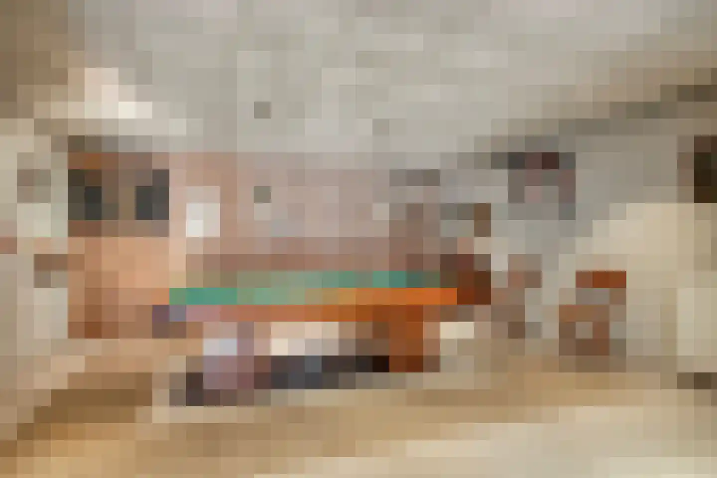 Hoge Morsweg 112 Leiden thumbnail 11