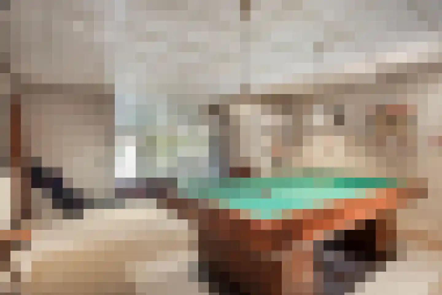 Hoge Morsweg 112 Leiden thumbnail 12