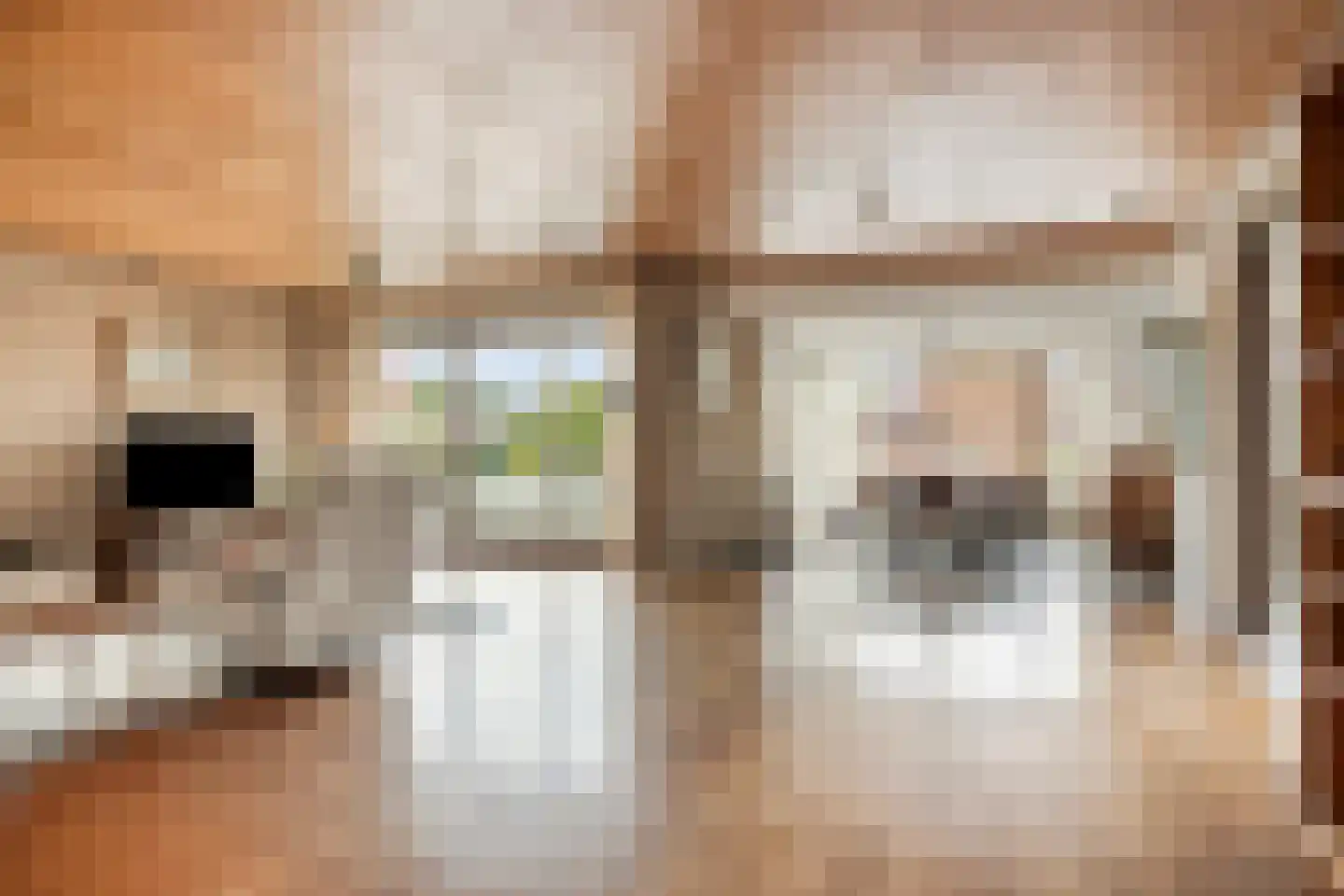 Hoge Morsweg 112 Leiden thumbnail 18
