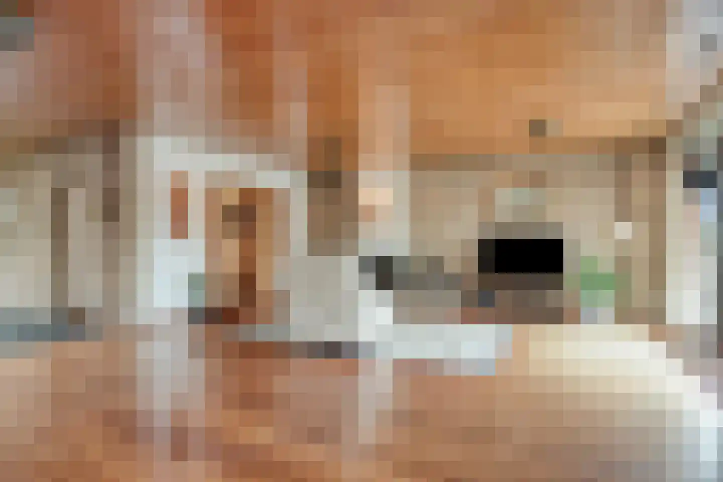 Hoge Morsweg 112 Leiden thumbnail 19