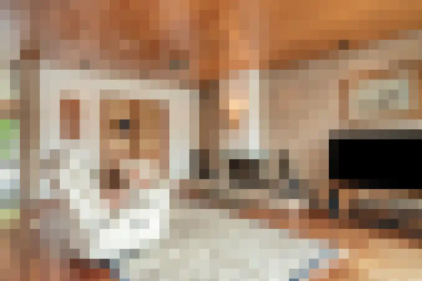 Hoge Morsweg 112 Leiden thumbnail 20