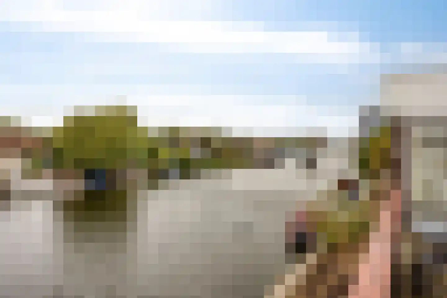 Hoge Morsweg 112 Leiden thumbnail 26