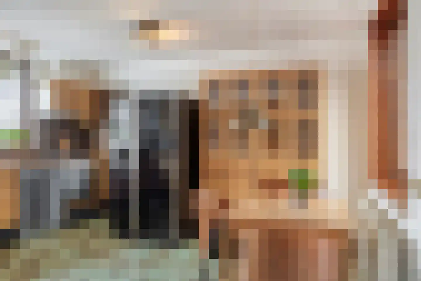 Hoge Morsweg 112 Leiden thumbnail 32