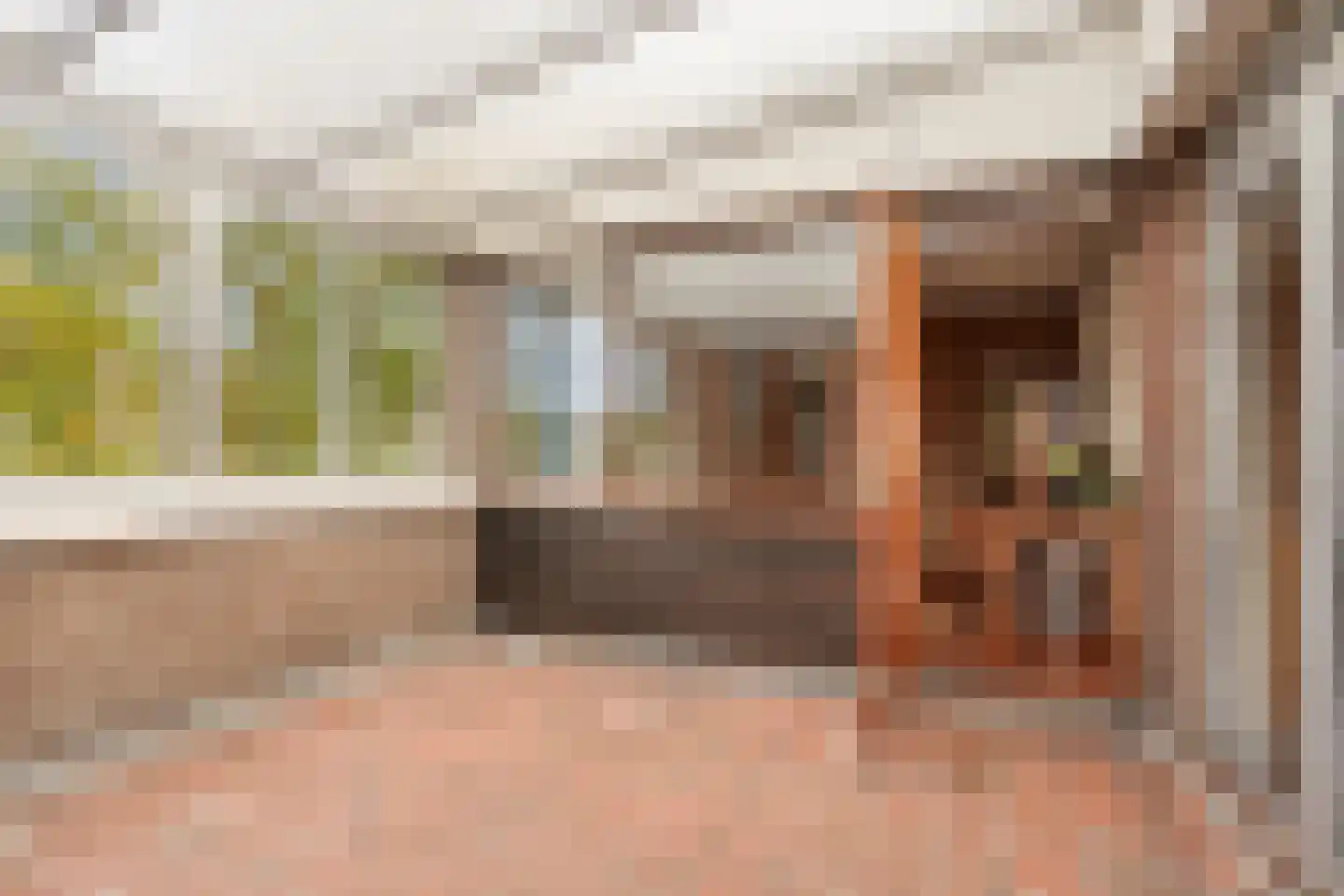 Hoge Morsweg 112 Leiden thumbnail 34