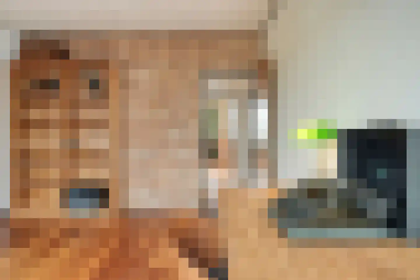 Hoge Morsweg 112 Leiden thumbnail 36